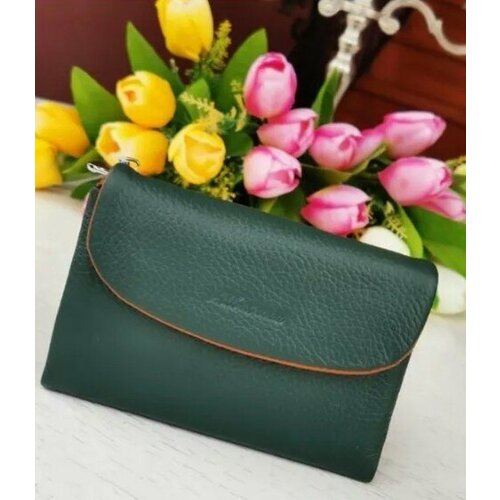 Кошелек Albatross 31-7-3929M, фактура зернистая, мультиколор, зеленый