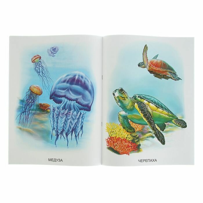 Демонстрационный материал "Обитатели океана" — фото 1