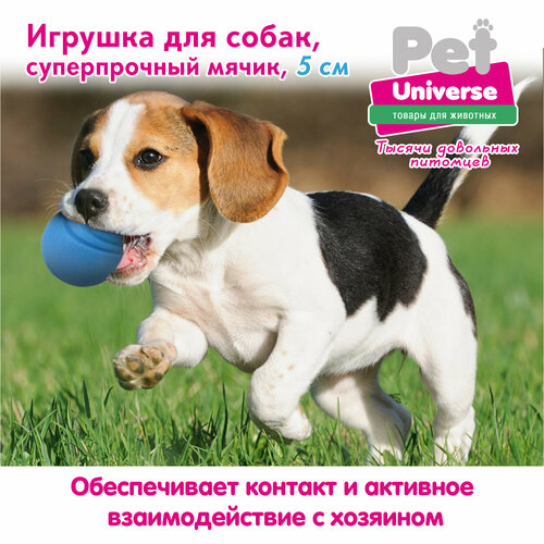 Игрушка для собак Pet Universe суперпрочный мячик диаметр 5 см, ТПР, голубой, PU3051BE мячик для собак jw pet