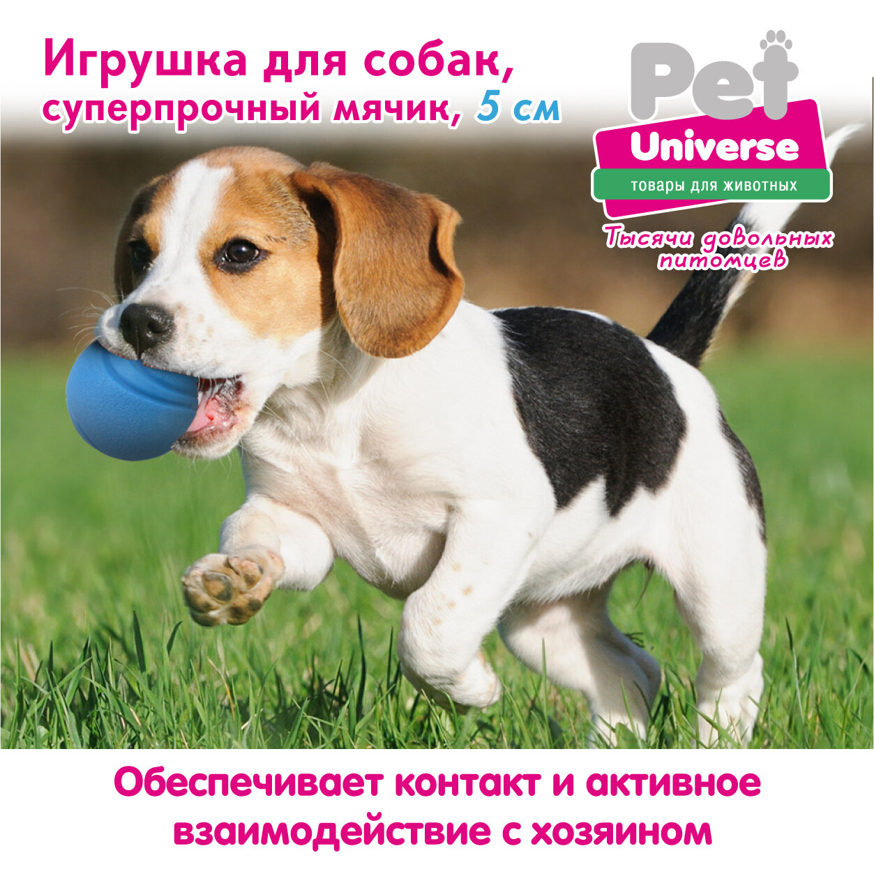 Игрушка для собак Pet Universe суперпрочный мячик диаметр 5 см, ТПР, голубой, PU3051BE