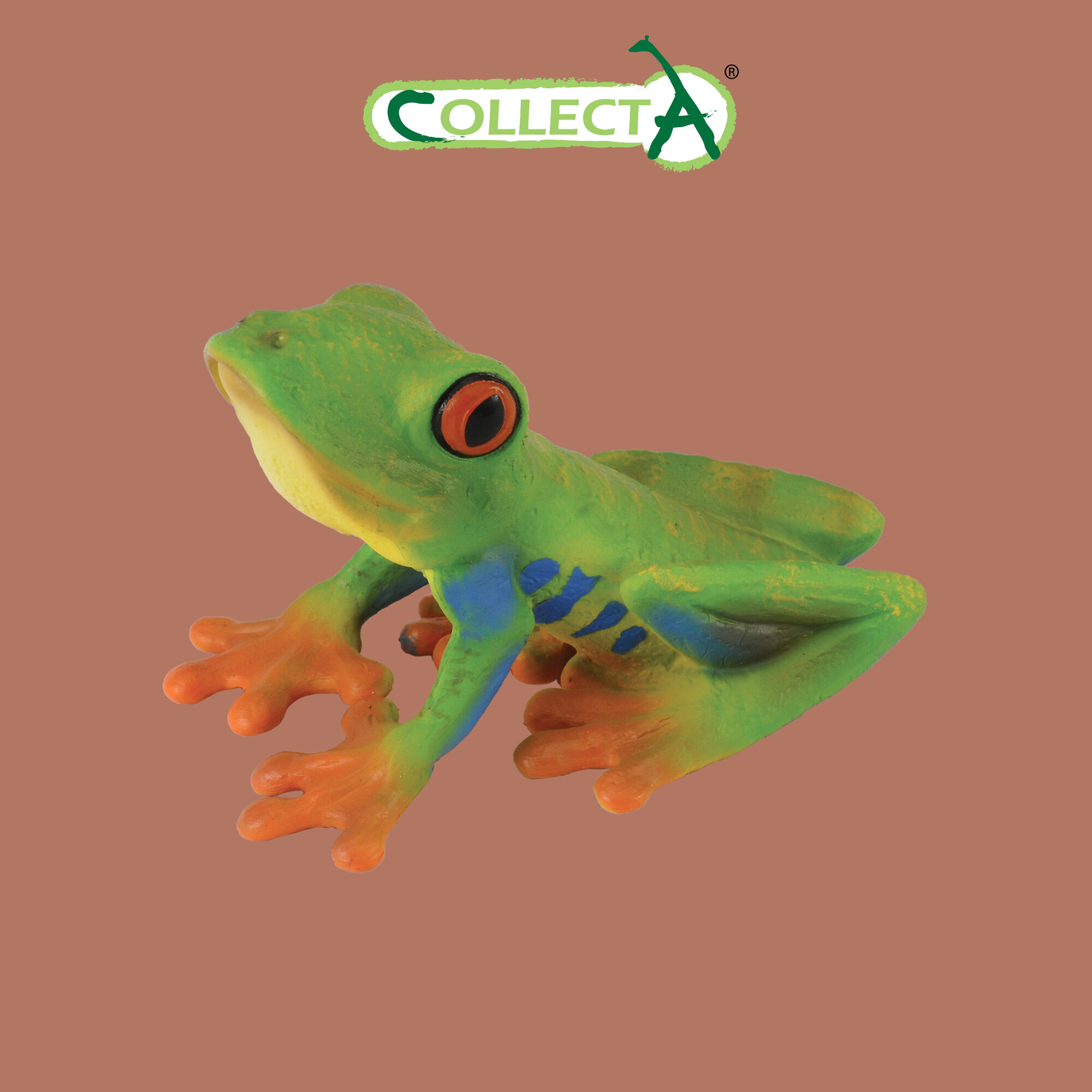 Фигурка животного Collecta "Лягушка древесная" высота 4 см, 88386b