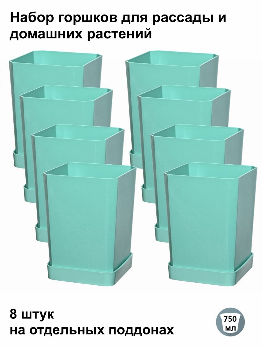 Горшки для рассады и цветов, 8 штук на отдельных поддонах, мята