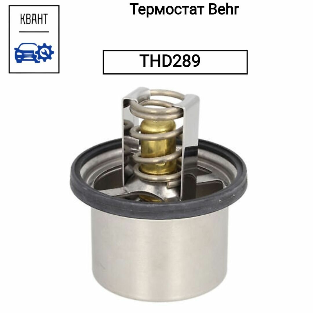 Термостат Behr THD289