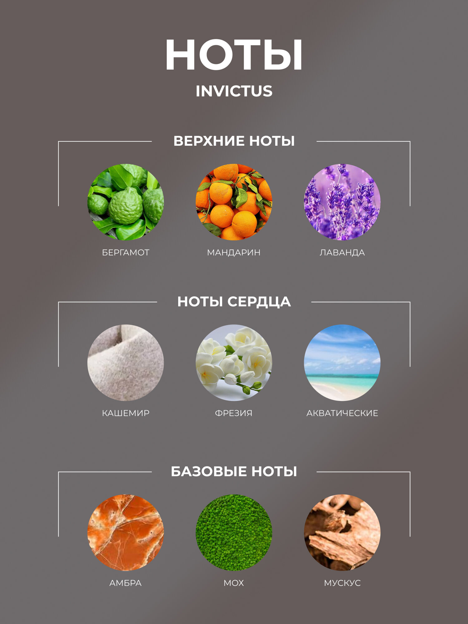 Духи мужские INVISIBLE PROVA, древесно-водяной, стойкие, 120 мл — фото 1