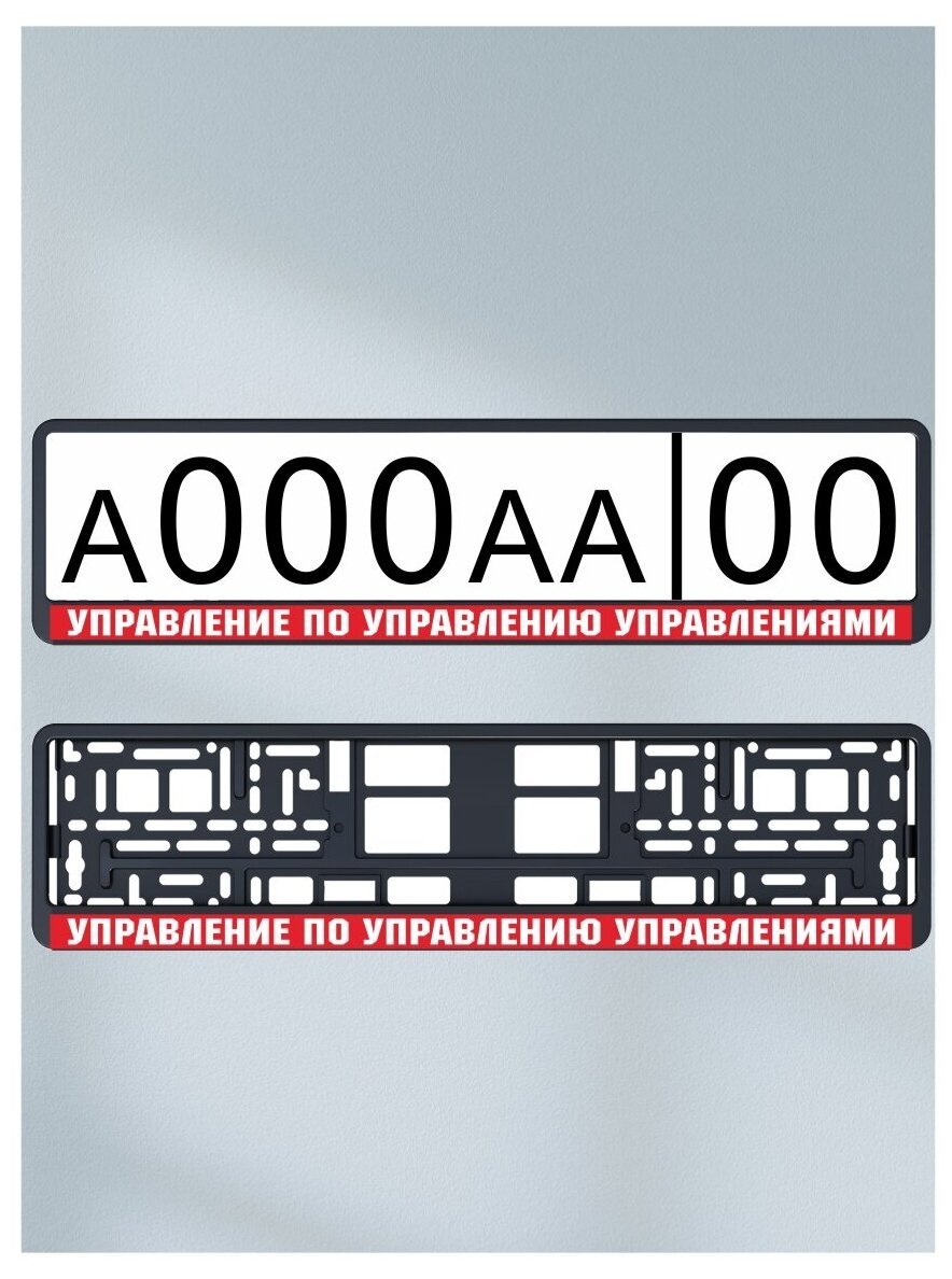 Наклейка под номер "Управление" (2 шт) под номер на рамку номерного знака на авто на машину