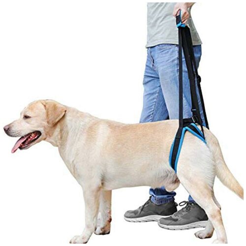 Ходунки для собак, поддержка задних лап пожилых собак, поддержка для собак задняя, шлейка ортопедическая Mr Dog L. Уцененный товар
