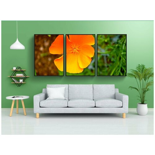 фото Набор модулных постеров для интерьера "мак, цветок, весна" 60x90 см. в тубусе, без рамки lotsprints