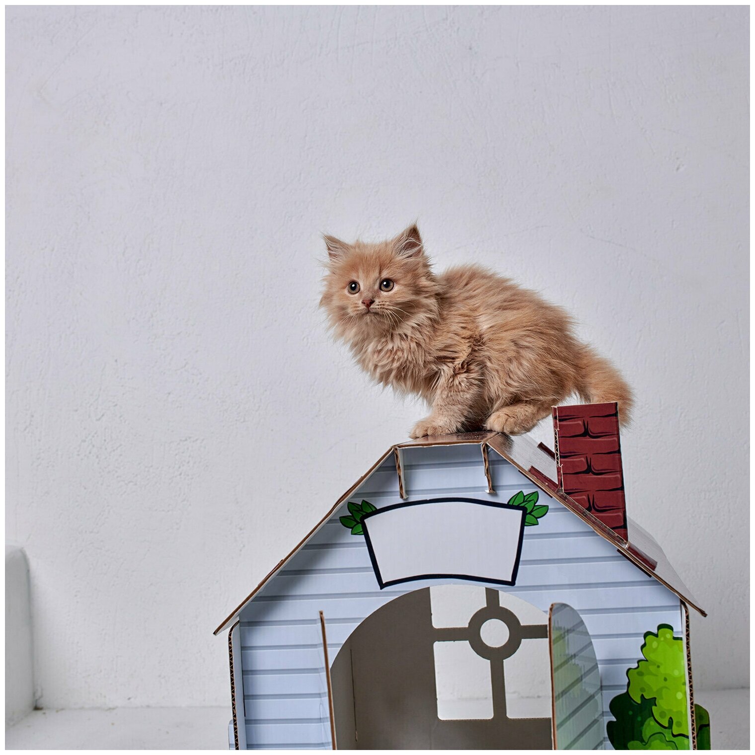 Улучшенный картонный домик для кошек и собак с мятой и когтеточкой из TикТок TikTok, картонный домик для кошки 207-011, Maskbro, лежанка для собак - фотография № 3
