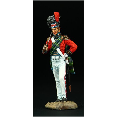 Оловянный солдатик SDS : Офицер 42-го (Королевских Шотландских горцев) пехотного полка Черная Стража, 1815 г оловянный солдатик топ сержант 42 го королевских шотландских горцев пехотного полка черная стража 1815 г