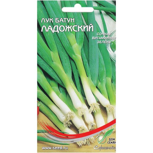 Лук батун Ладожский, 235 семян семена лук батун ладожский 235шт