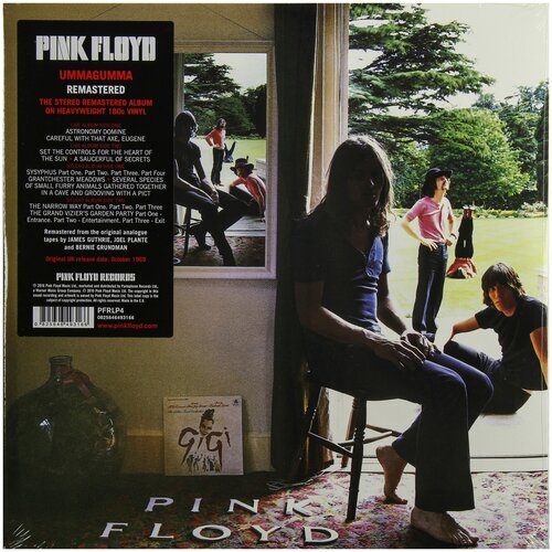 Warner Bros. Pink Floyd. Ummagumma (2 виниловые пластинки) pink floyd ummagumma 2lp спрей для очистки lp с микрофиброй 250мл набор