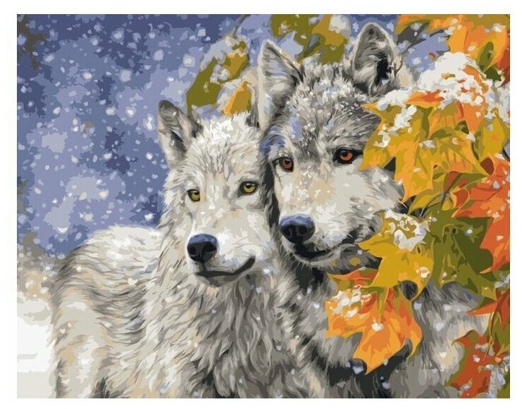 Картина по номерам Paintboy VA-1642 Два волка 40х50см
