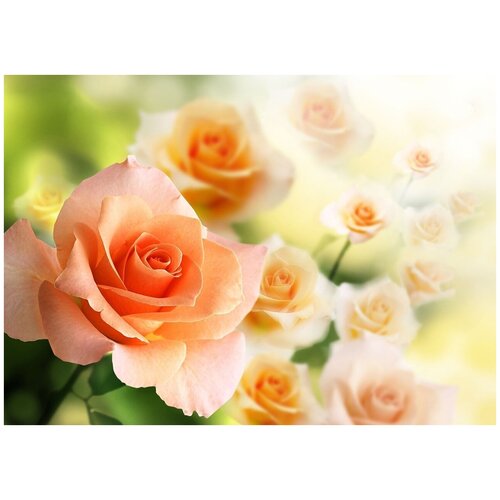 Персиковые розы - Виниловые фотообои, (211х150 см) дикие розы на узорчатом фоне виниловые фотообои 211х150 см