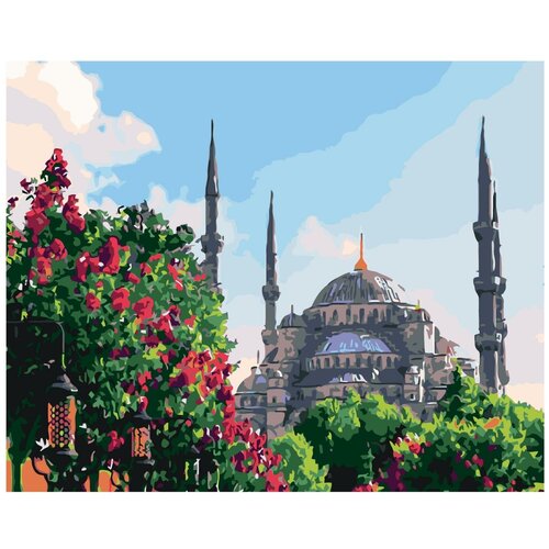 Картина по номерам, Живопись по номерам, 100 x 125, ARTH-AH286, городской пейзаж, мечеть, Стамбул, цветы, весна, сад