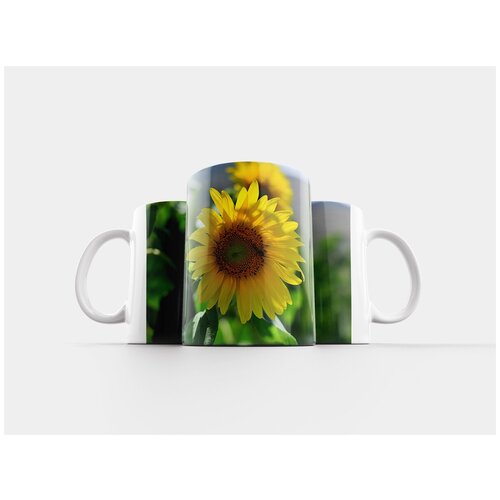 фото Кружка "цветок, живые цветы, яркий цвет" 320 мл lotsprints