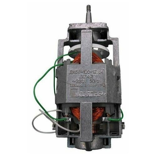 Электродвигатель ДК58-100-1204 УХЛ42 для мясорубки Помощница Белвар 263700₽