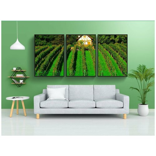 фото Набор модулных постеров для интерьера "виноградник, винные культуры, виноградные растения" 60x90 см. в тубусе, без рамки lotsprints