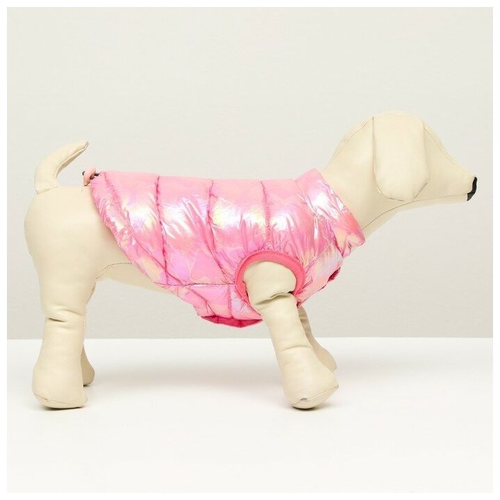 Куртка для собак двухсторонняя с утяжкой, размер 10 (ДС 25 см, ОГ 34 см, ОШ 24 см),розовая - фотография № 3