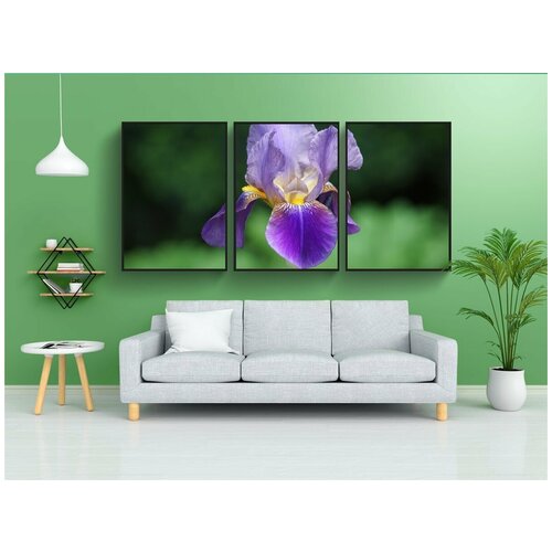 фото Набор модулных постеров для интерьера "ирисы, цветы, сады" 60x90 см. в тубусе, без рамки lotsprints