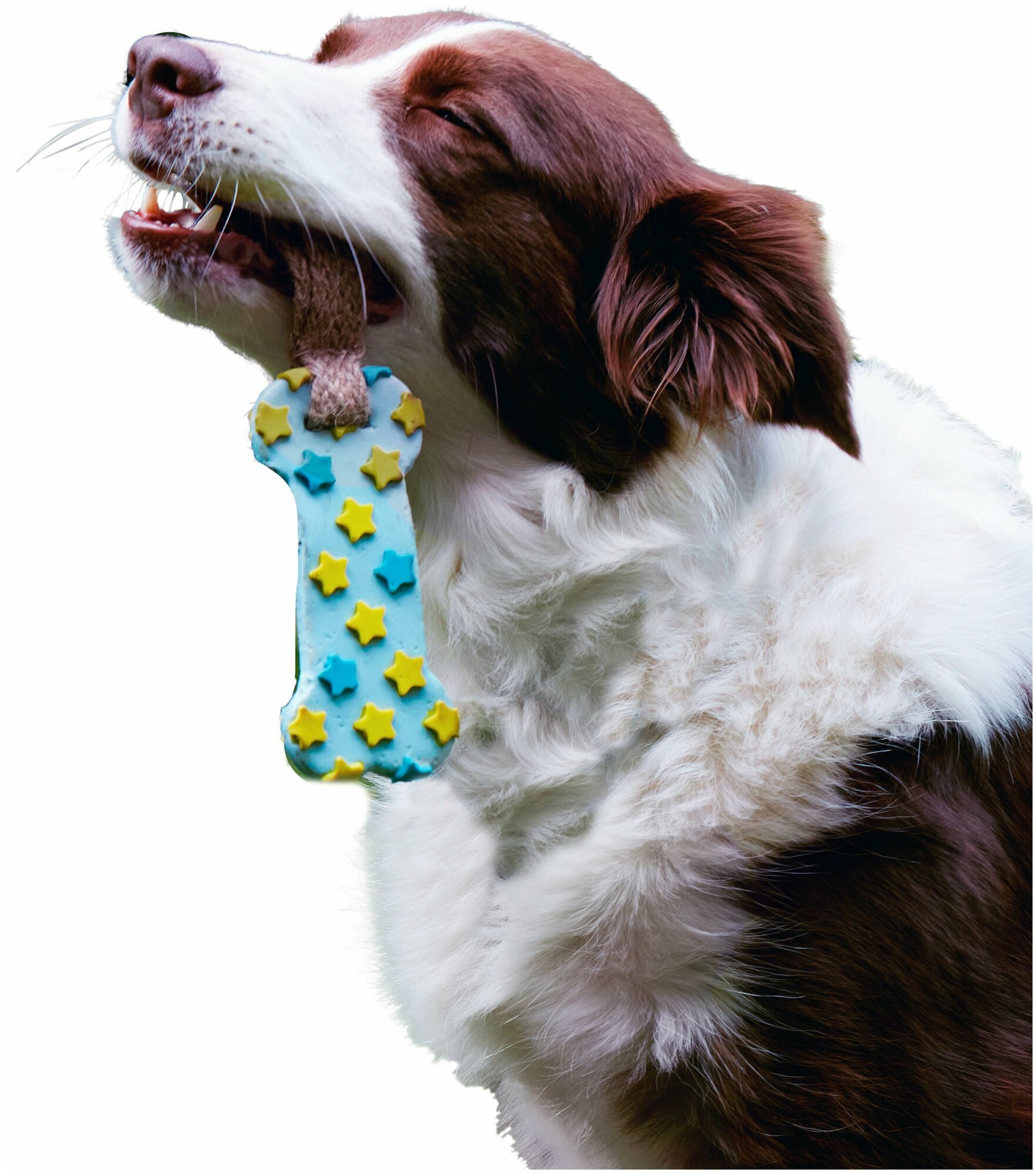Игрушка для собак Japan Premium Pet эластичная зубочистка из натурального льна и латекса. Рисунок звездочки. - фотография № 1