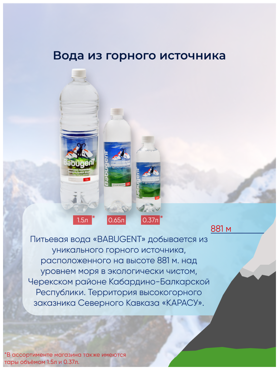 Вода питьевая негазированная 0,37 л по 12 шт в упак / родниковая / детская / живая - фотография № 2