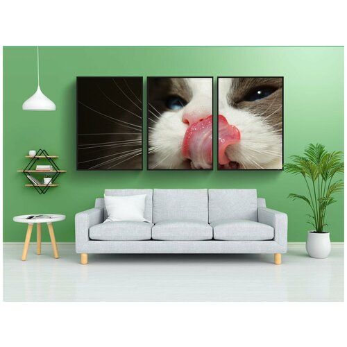 фото Набор модулных постеров для интерьера "кошка, породистый, ragdoll" 60x90 см. в тубусе, без рамки lotsprints