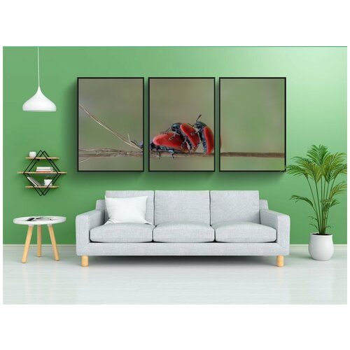 фото Набор модулных постеров для интерьера "жук, насекомые, макрос" 60x90 см. в тубусе, без рамки lotsprints