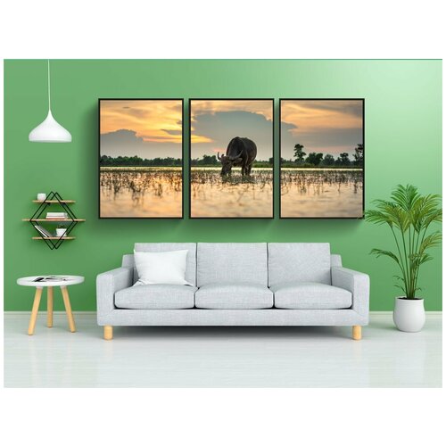 фото Набор модулных постеров для интерьера "буффало, деревенский, тайский" 60x90 см. в тубусе, без рамки lotsprints