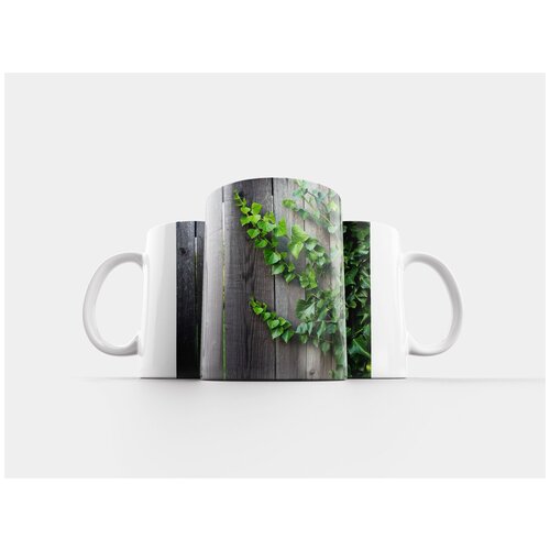 фото Кружка "рептилия, плющ, листья" 320 мл lotsprints