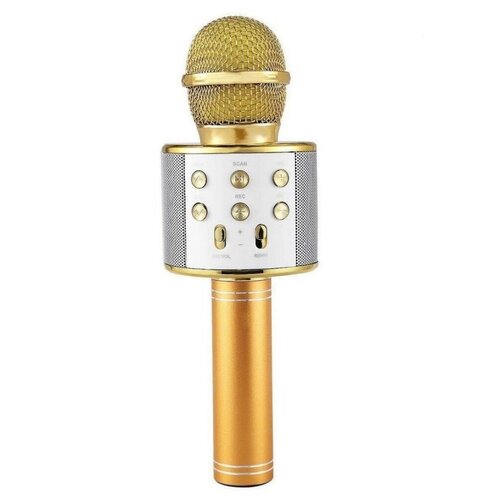 Оригинальный беспроводной караоке микрофон WSTER WS-858 (с динамиками) Золотой