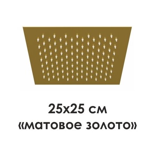 WasserKRAFT A198 Верхняя душевая насадка, золото сифон для раковины wasserkraft aisch a170 золото матовое