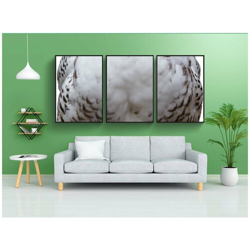 фото Набор модулных постеров для интерьера "белый, сова, птица" 60x90 см. в тубусе, без рамки lotsprints