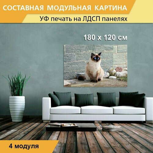 Модульная картина 