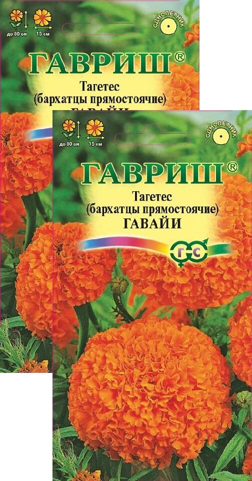 Бархатцы прямостоячие (тагетес) Гавайи (03 г) 2 пакета