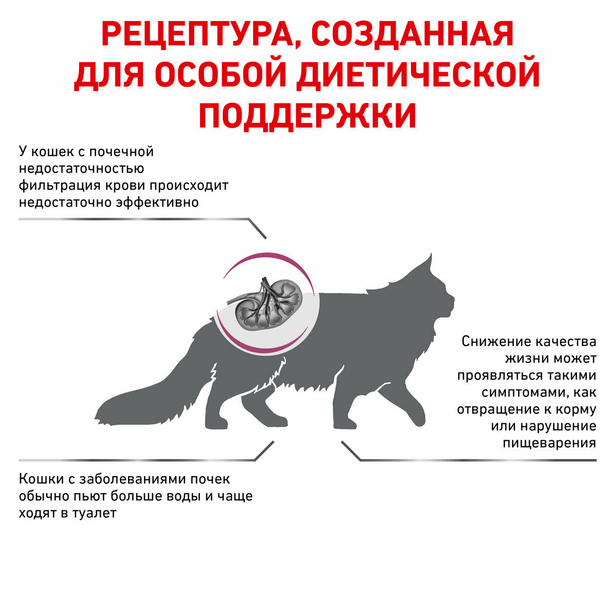 Сухой корм Royal Canin Renal Feline диета для кошек 4 кг - фотография № 2