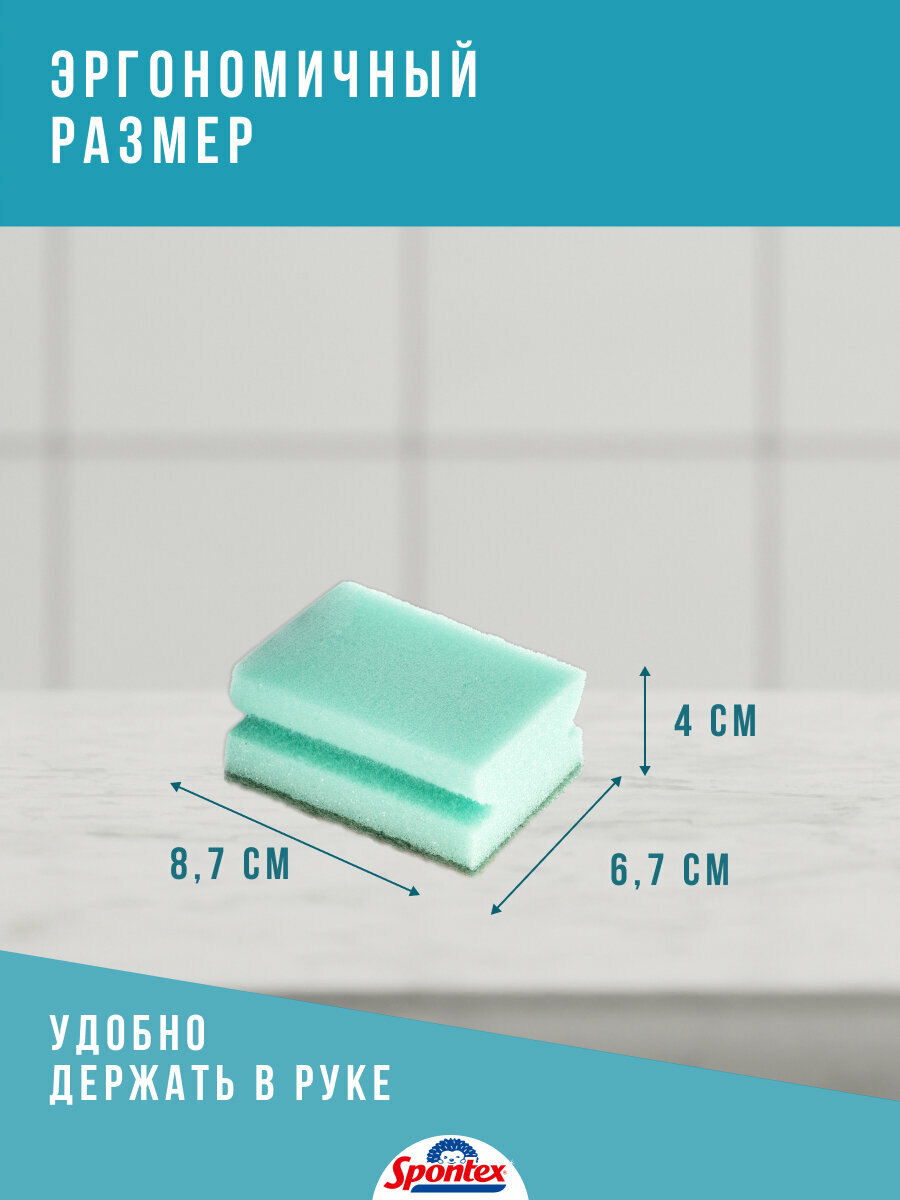 Губка для мытья посуды "COLORMAX" Spontex, 1 уп/3 шт, цветные — фото 1