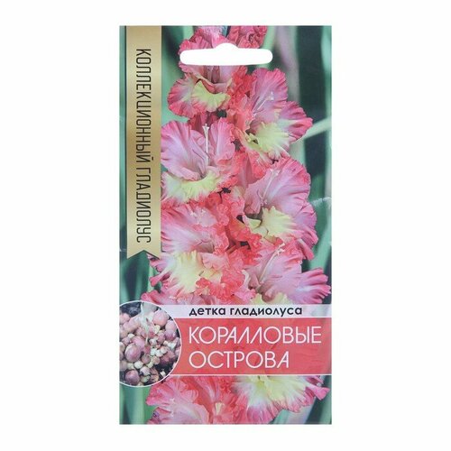 Добрый урожай Клубнепочка гладиолуса Коралловые острова (трехцветный), 5 шт. гладиолусы российские набор 5 луковицы 15 шт