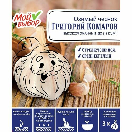 Чеснок озимый Григорий Комаров 30+, упаковка 3 шт