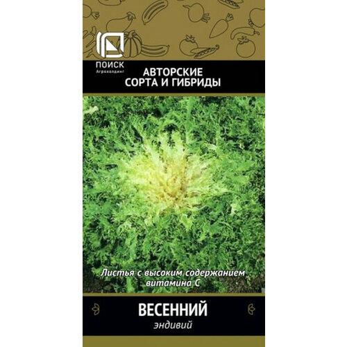 Эндивий Весенний (А) 590815