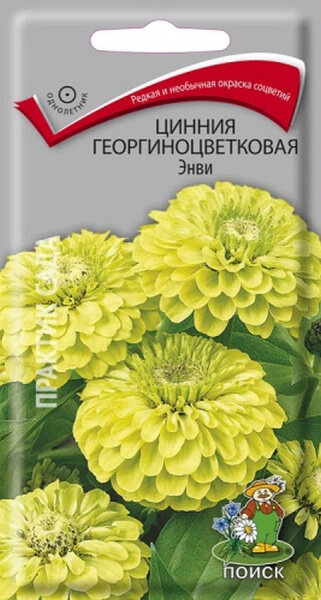 Цинния георгиноцветковая Энви 580906