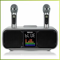 REXUS SD-318 (Gray) - беспроводная система караоке, 2 радиомикрофона, USB, Bluetooth, Optical, Coaxial