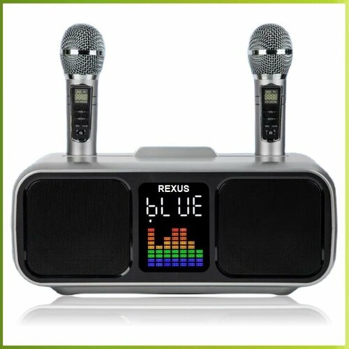 REXUS SD-318 (Gray) - беспроводная система караоке, 2 радиомикрофона, USB, Bluetooth, Optical, Coaxial rexus compact pro комплект караоке для дома 2 радиомикрофона hdmi оценка пения