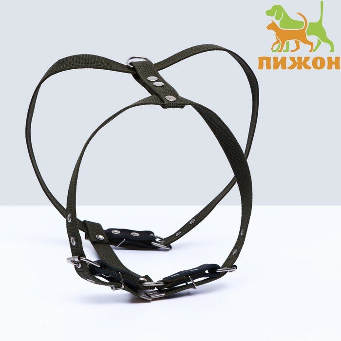 Шлейка брезентовая «Прогулочная», 2.5 см, ОШ 46-58 см, ОГ 78-85 см