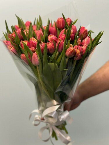 Изображение товара Букет wowflo, 101 тюльпан, высота 35 см, розовый, оберточная/крафт-бумага, пленка