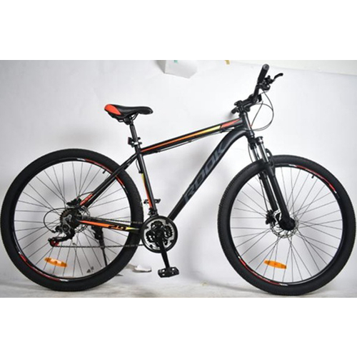 Rook 29 MA291H серыйоранжевый 2565400₽