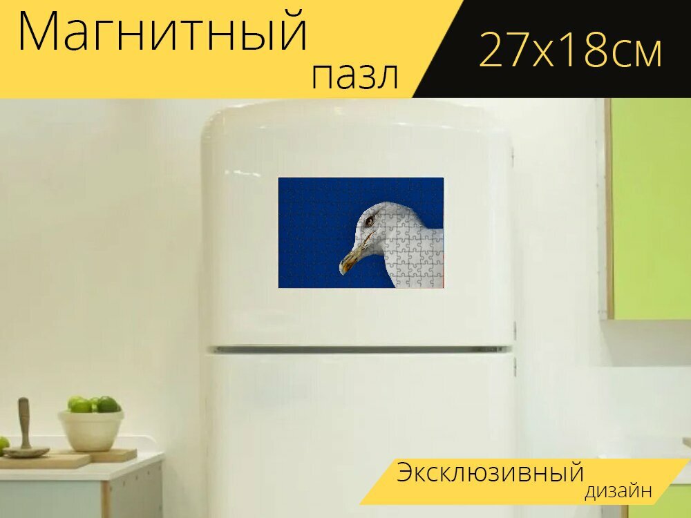 Магнитный пазл "Чайка, птица, портрет" на холодильник 27 x 18 см.