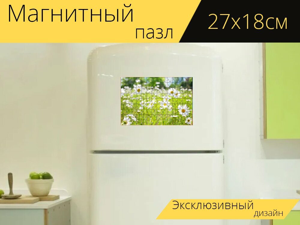 Магнитный пазл "Ромашки, поле, природа" на холодильник 27 x 18 см.