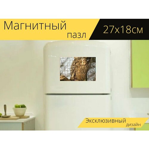 Магнитный пазл Уху, сова, птица на холодильник 27 x 18 см.