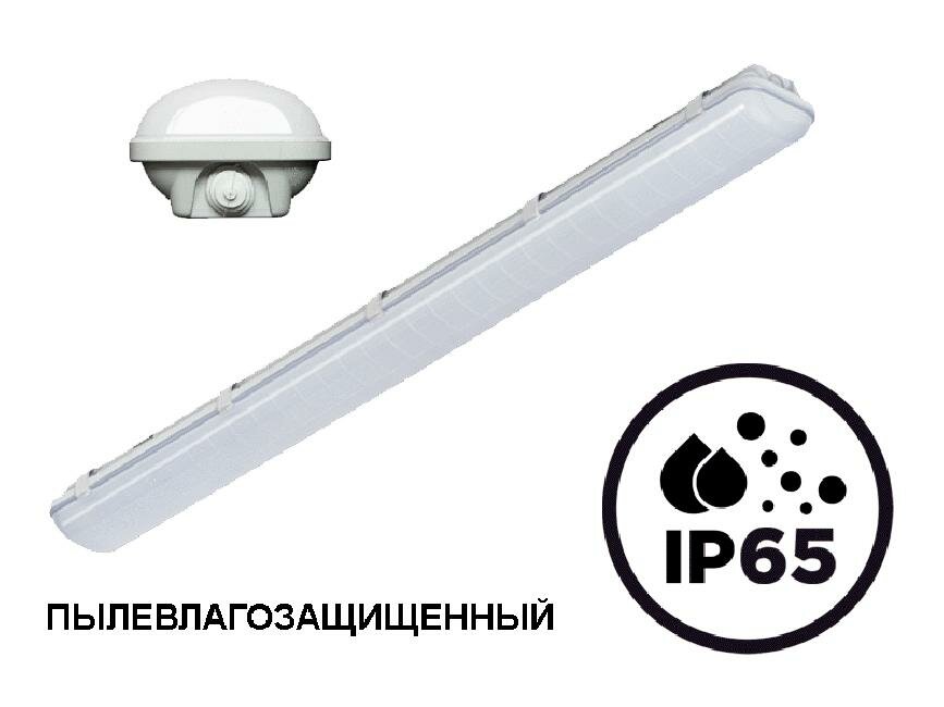 фото Потолочный светодиодный влагозащищенный светильник ДПО BEELED BLD-DPO032W120-MW