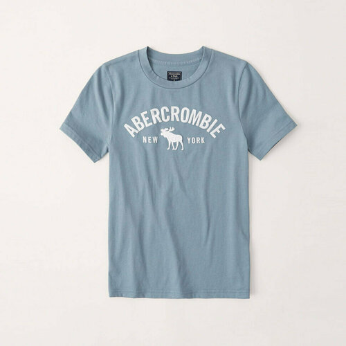 Футболка Abercrombie & Fitch, размер XL, синий, голубой